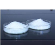 Citric Acid Anhydrous / Monohydrate